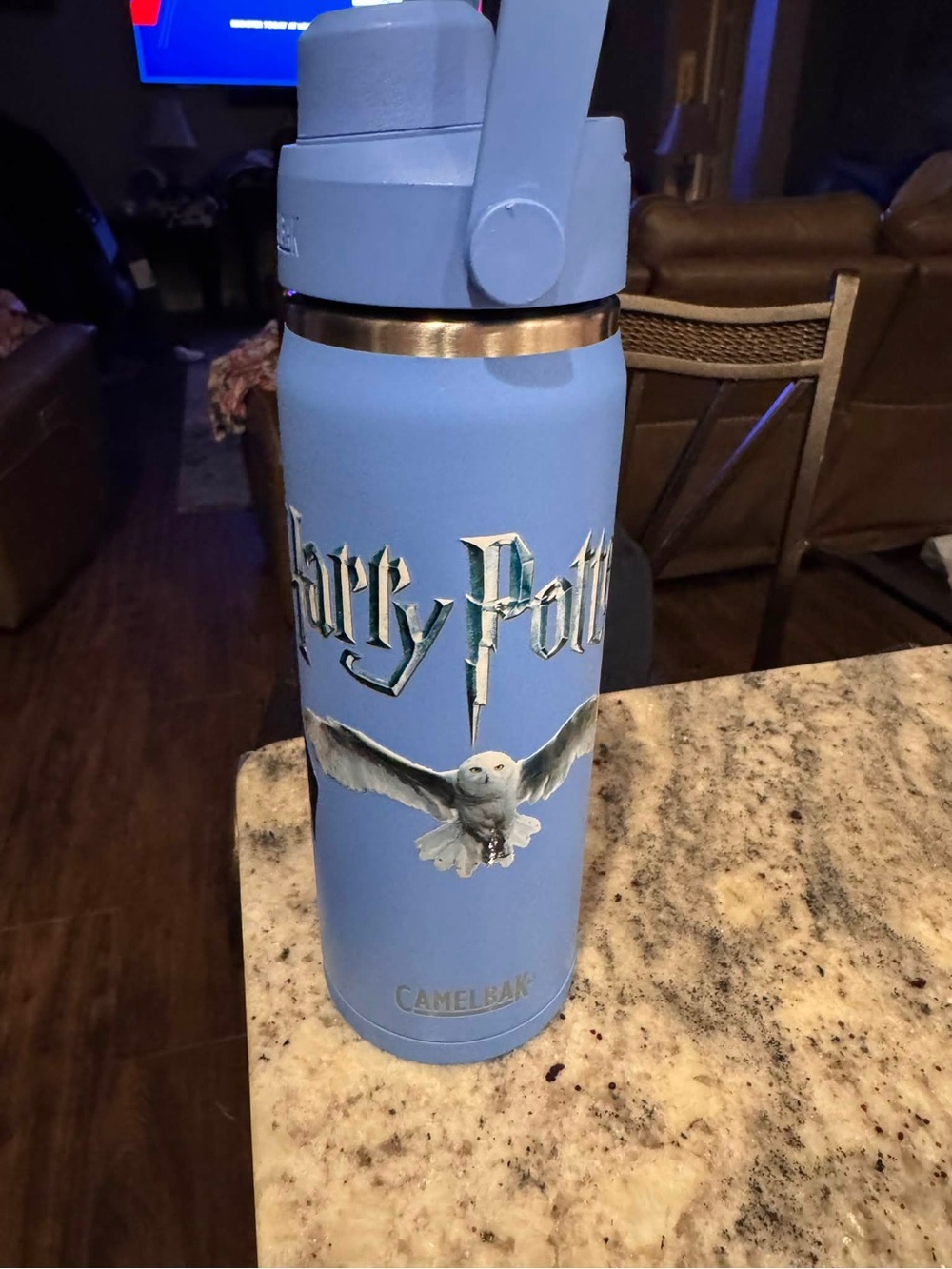CamelBak Harry Potter Light Blue Insulated Water Bottle